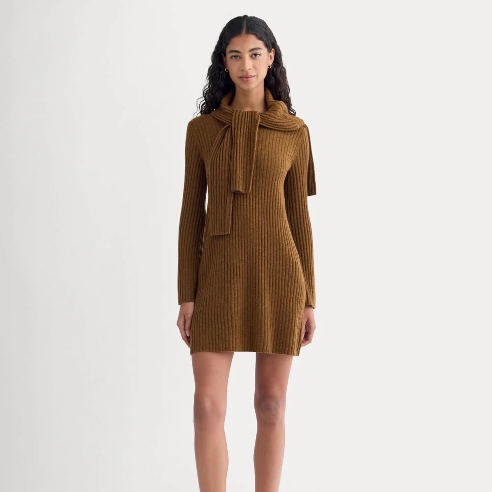 Everlane Cashmere Long-Sleeve Mini Dress